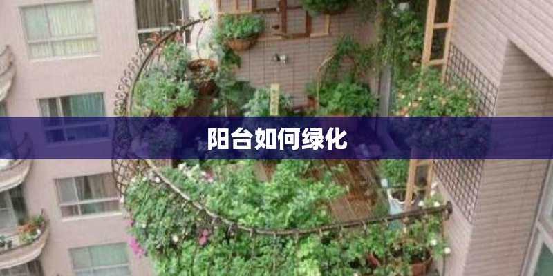 阳台如何绿化