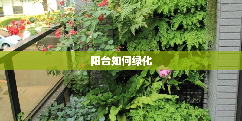 阳台如何绿化