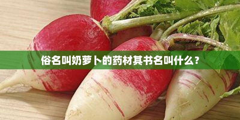 俗名叫奶萝卜的药材其书名叫什么？