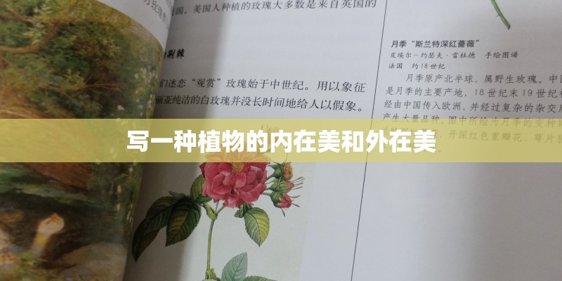写一种植物的内在美和外在美