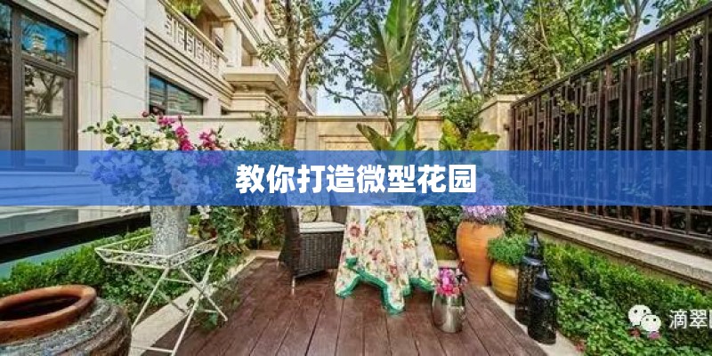 教你打造微型花园
