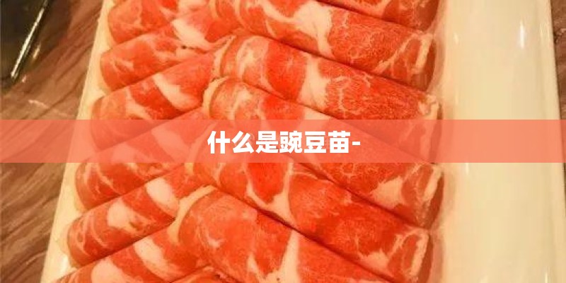 什么是豌豆苗-