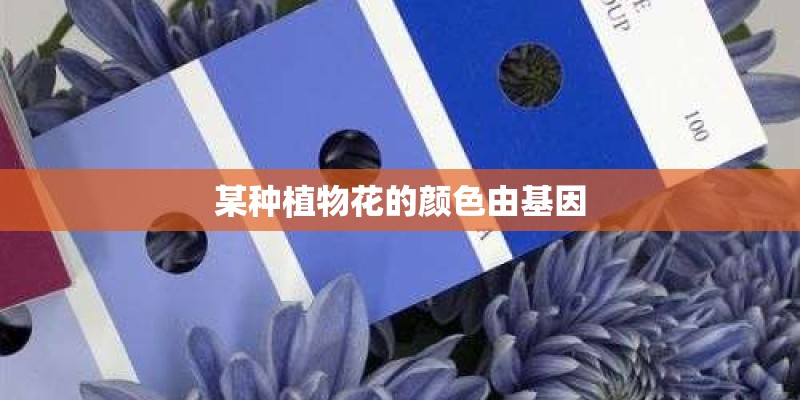 梦见自己栽的小植物开花的预兆
