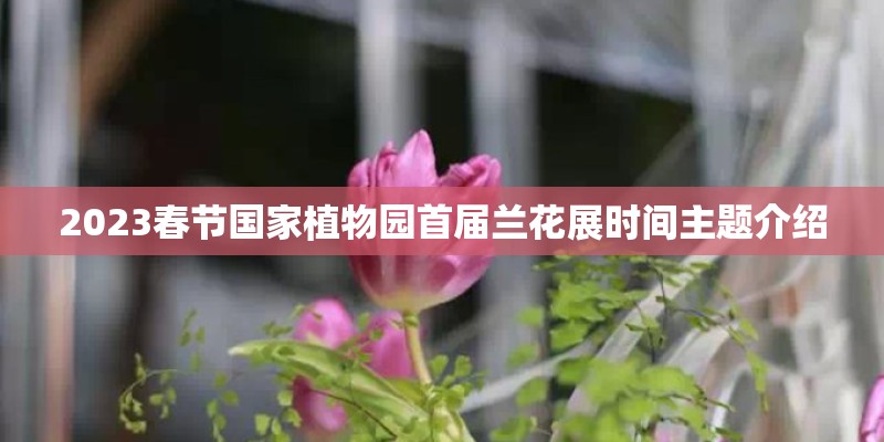 2023春节国家植物园首届兰花展时间主题介绍 2023春节国家植物园首届兰花展时间主题介绍