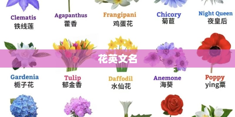 花英文名
