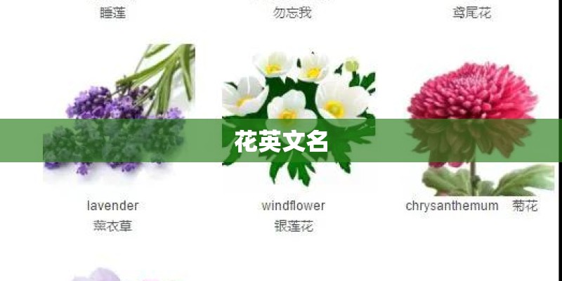 花英文名