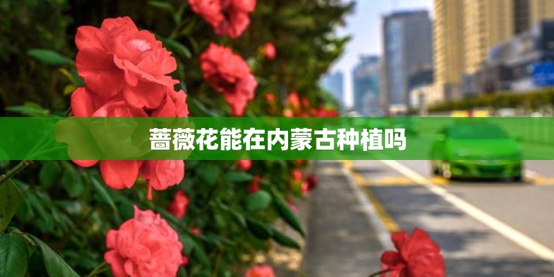 燕郊尚城华都营销中心电话是多少？