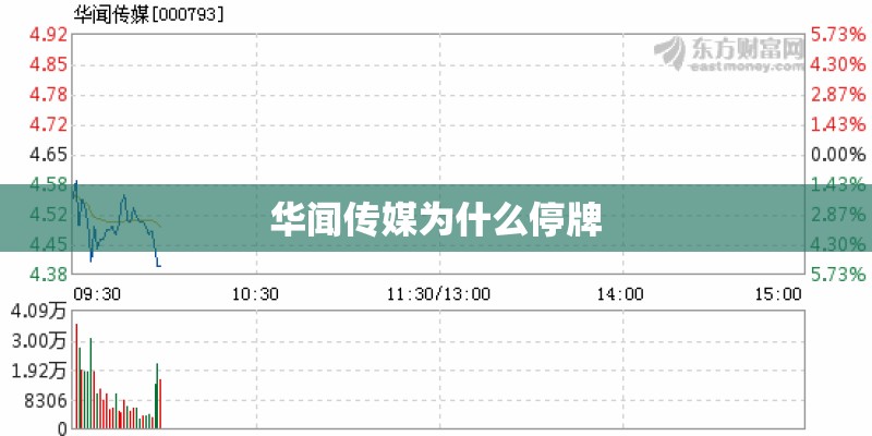 华闻传媒为什么停牌
