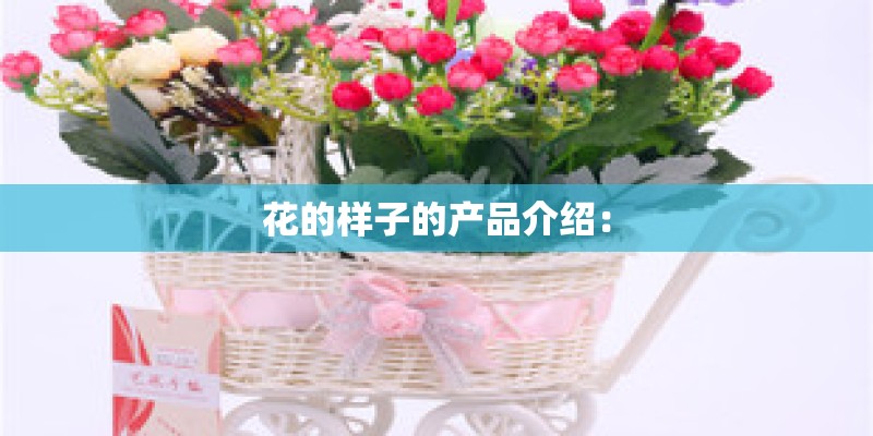 花的样子的产品介绍：