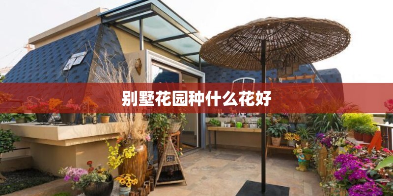别墅花园种什么花好
