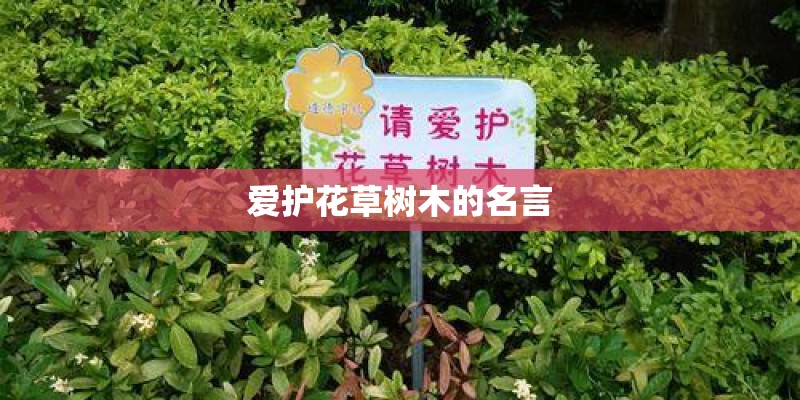 爱护花草树木的名言