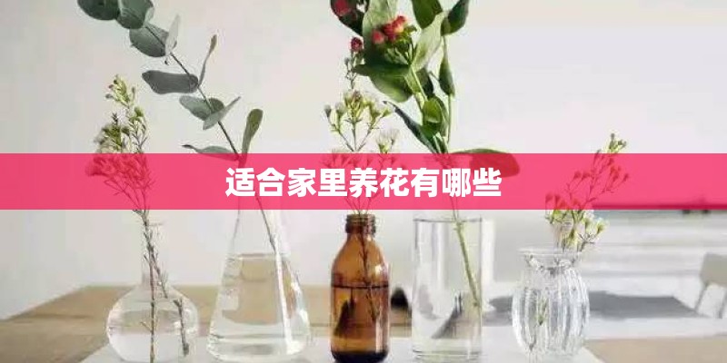 适合家里养花有哪些