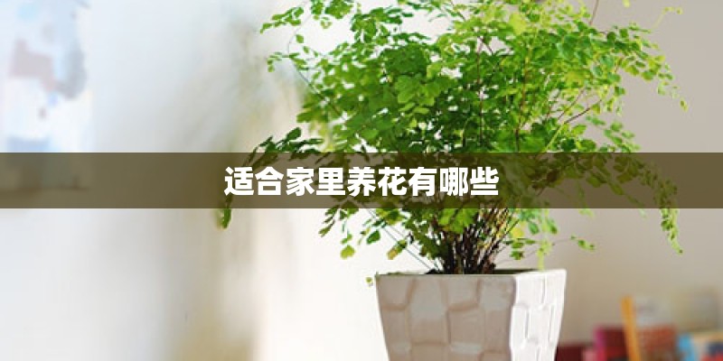适合家里养花有哪些