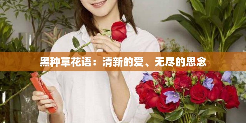 黑种草花语：清新的爱、无尽的思念
