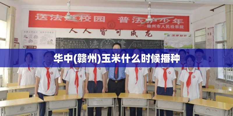华中(赣州)玉米什么时候播种