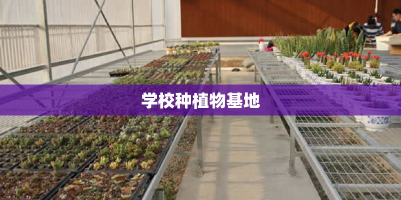 学校种植物基地