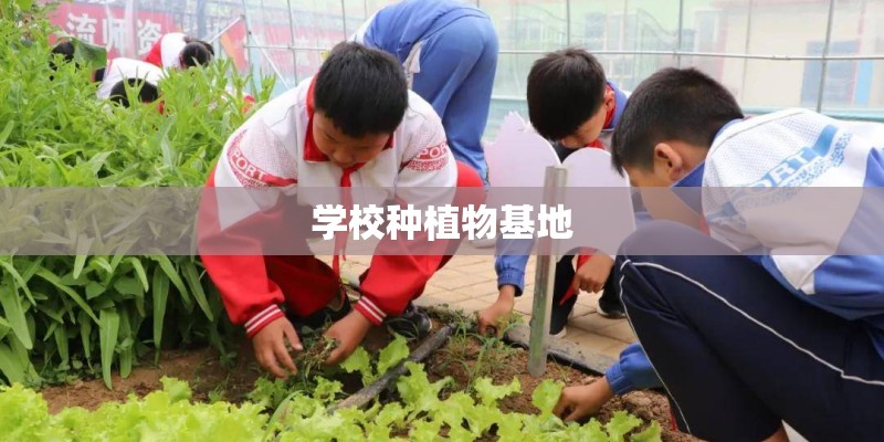 学校种植物基地 学校种植物基地
