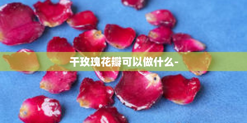 干玫瑰花瓣可以做什么-
