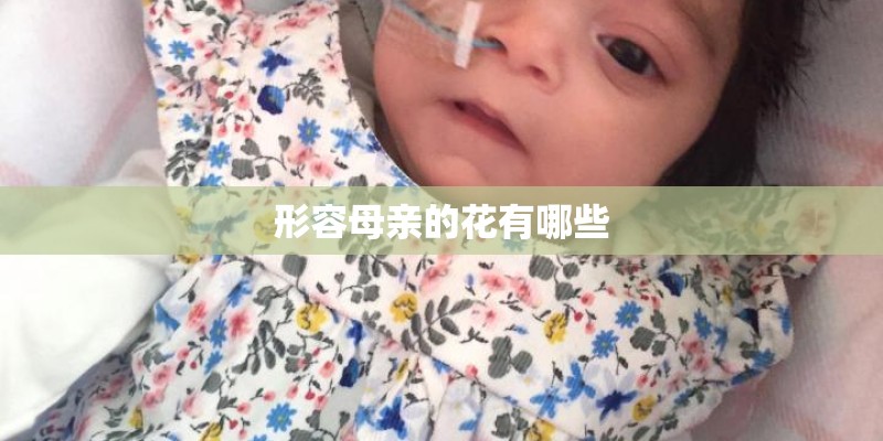 形容母亲的花有哪些