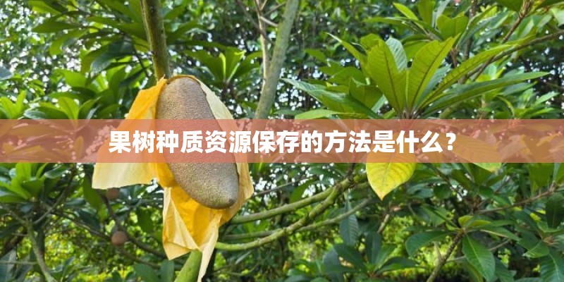 果树种质资源保存的方法是什么? 果树种质资源保存的方法是什么?