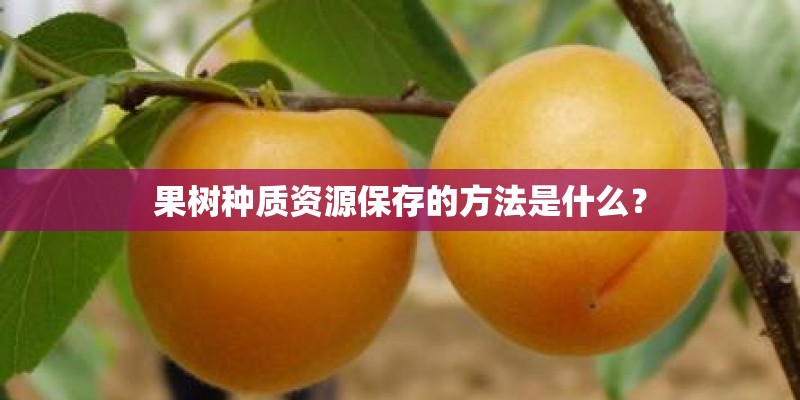 果树种质资源保存的方法是什么? 果树种质资源保存的方法是什么?