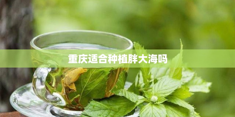 重庆适合种植胖大海吗