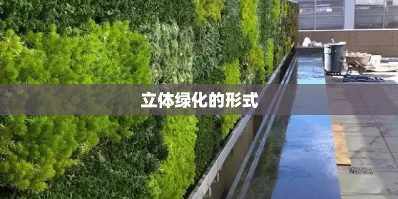 立体绿化的形式