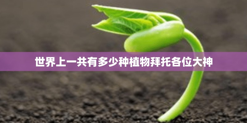 世界上一共有多少种植物拜托各位大神