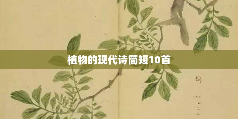植物的现代诗简短10首