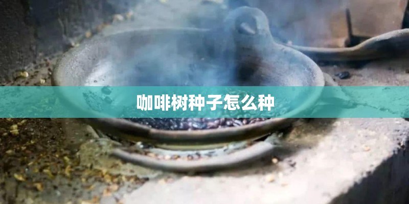 咖啡树种子怎么种