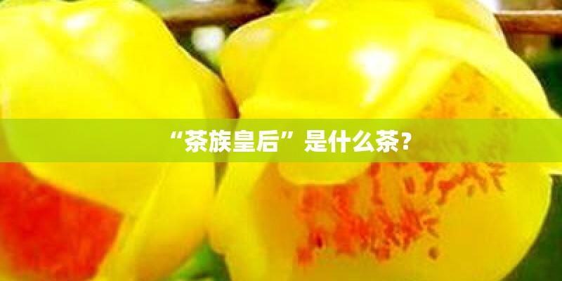 “茶族皇后”是什么茶？