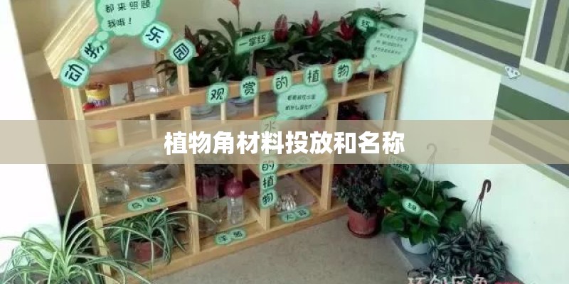 植物角材料投放和名称