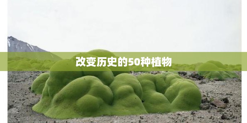 改变历史的50种植物