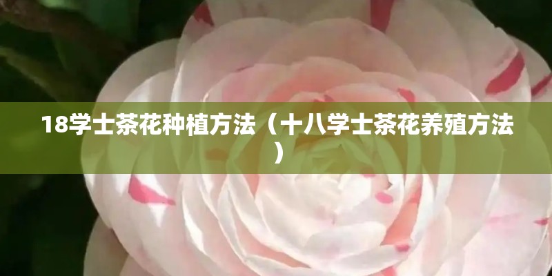 四川省建立卧龙自然保护区是为了保护 四川省建立卧龙自然保护区是为了保护