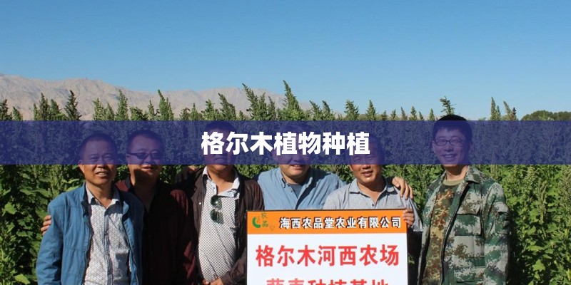 格尔木植物种植