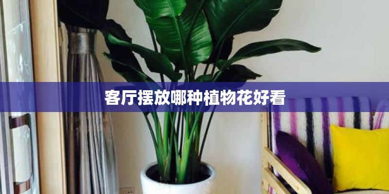 诺基亚N72与N73有什麼区别？