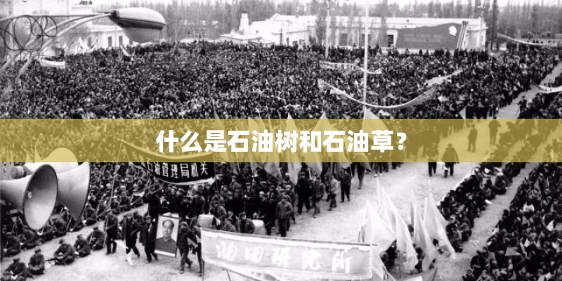什么是石油树和石油草？