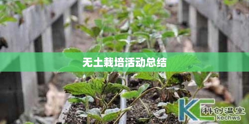 无土栽培活动总结