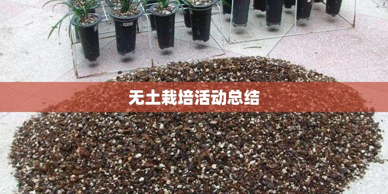 无土栽培活动总结
