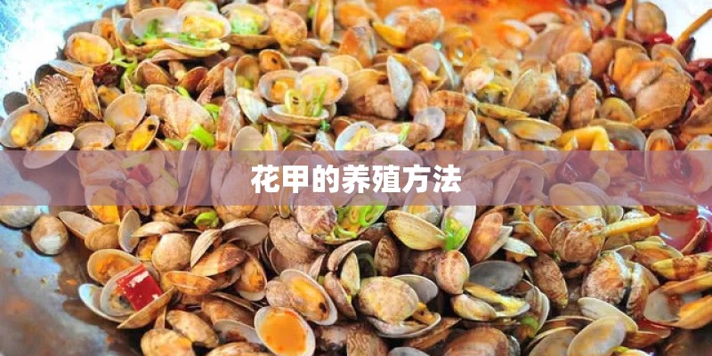 适合在楼顶种的耐高温植物