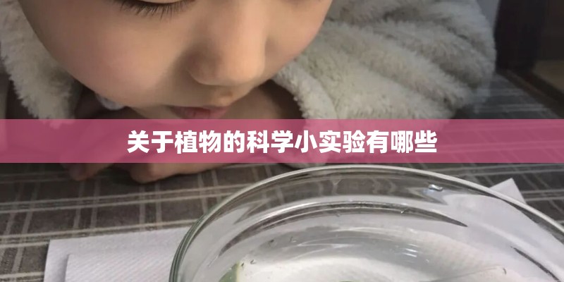 关于植物的科学小实验有哪些 关于植物的科学小实验有哪些