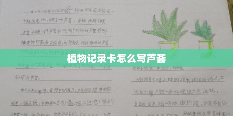 植物记录卡怎么写芦荟
