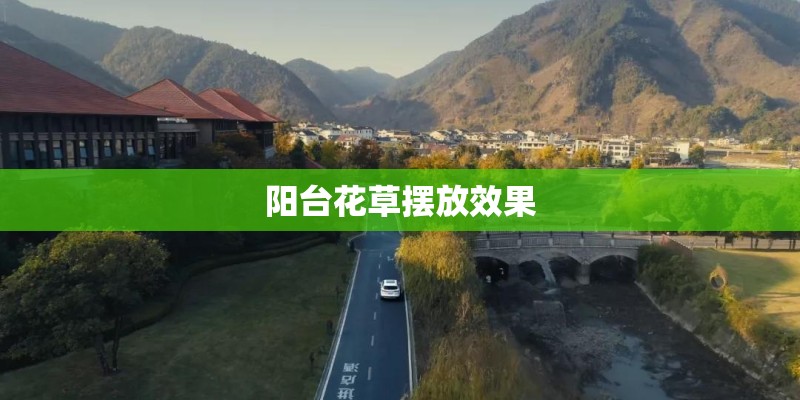 阳台花草摆放效果