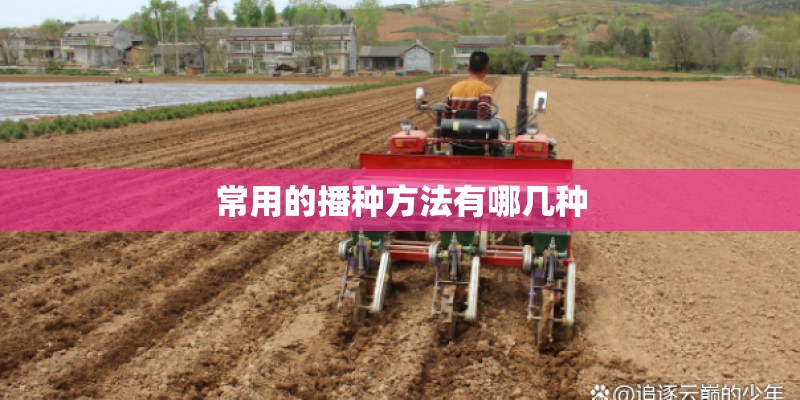 常用的播种方法有哪几种