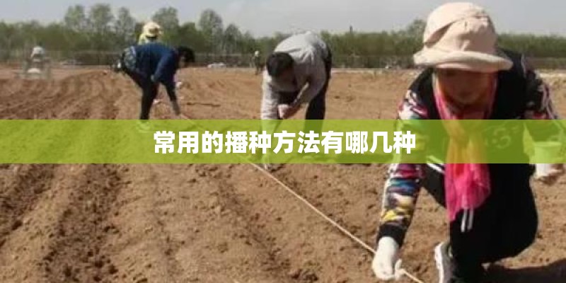 常用的播种方法有哪几种