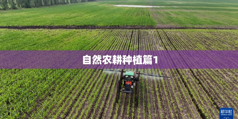 自然农耕种植篇1