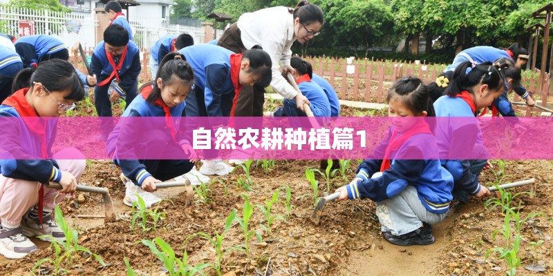 自然农耕种植篇1