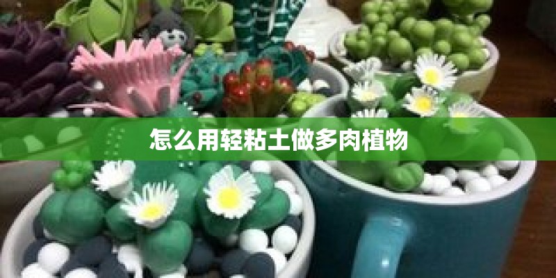 怎么用轻粘土做多肉植物 怎么用轻粘土做多肉植物