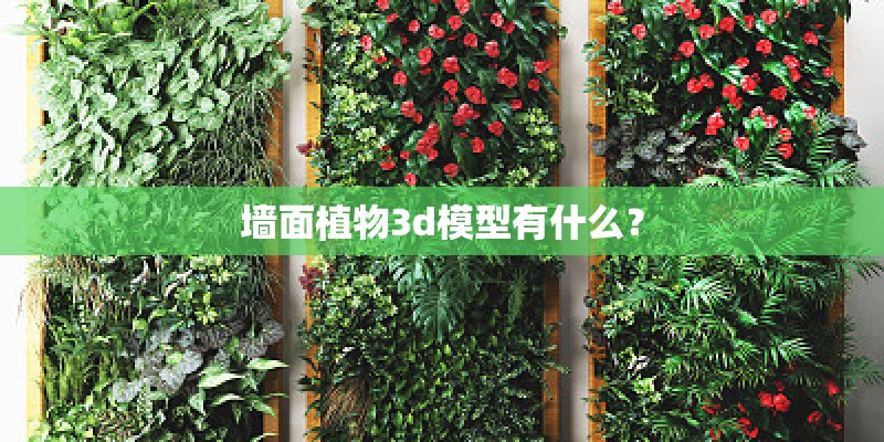 墙面植物3d模型有什么？