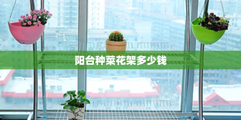 阳台种菜花架多少钱
